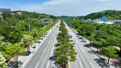 메인사진